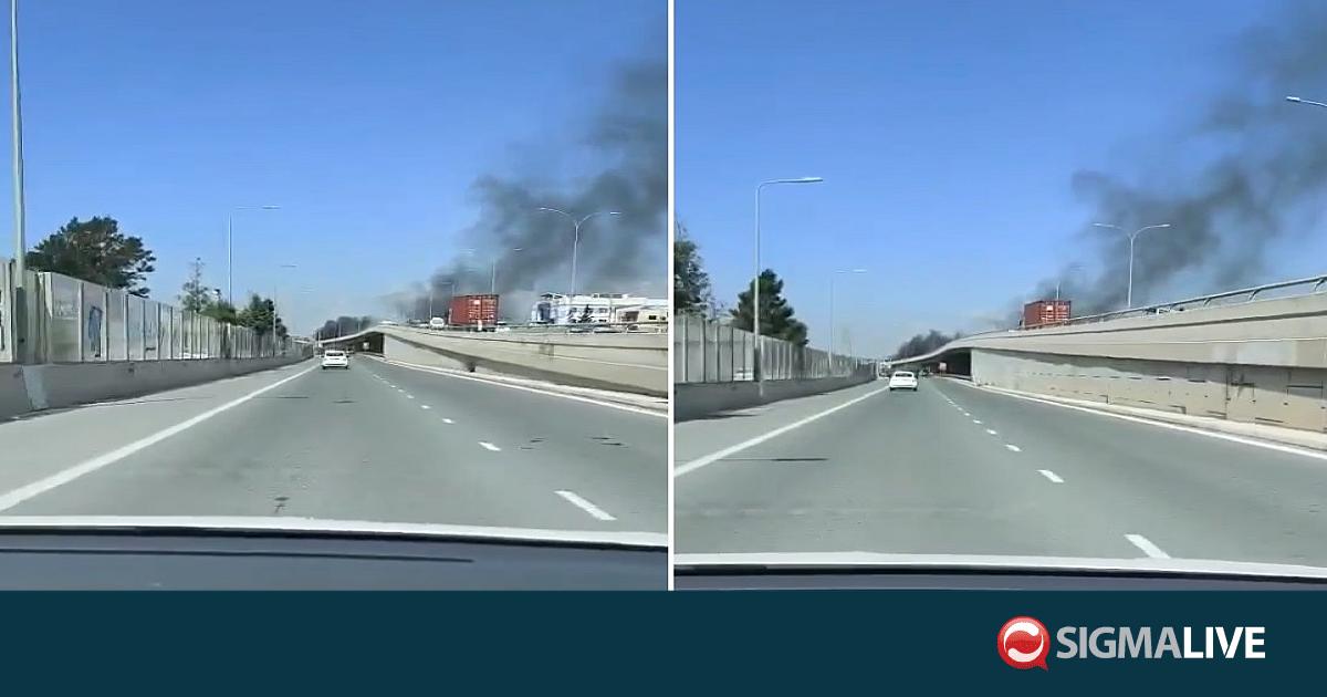 &Beta;&Iota;&Nu;&Tau;&Epsilon;&Omicron;: &Mu;&alpha;&theta;&eta;&tau;έ&sigmaf; έ&beta;&alpha;&lambda;&alpha;&nu; &phi;&omega;&tau;&iota;ά &sigma;&epsilon; &epsilon;&lambda;&alpha;&sigma;&tau;&iota;&kappa;ά έ&xi;&omega; &alpha;&pi;ό &sigma;&chi;&omicron;&lambda;&epsilon;ί&omicron; &sigma;&tau;&eta; &Lambda;&epsilon;&mu;&epsilon;&sigma;ό
