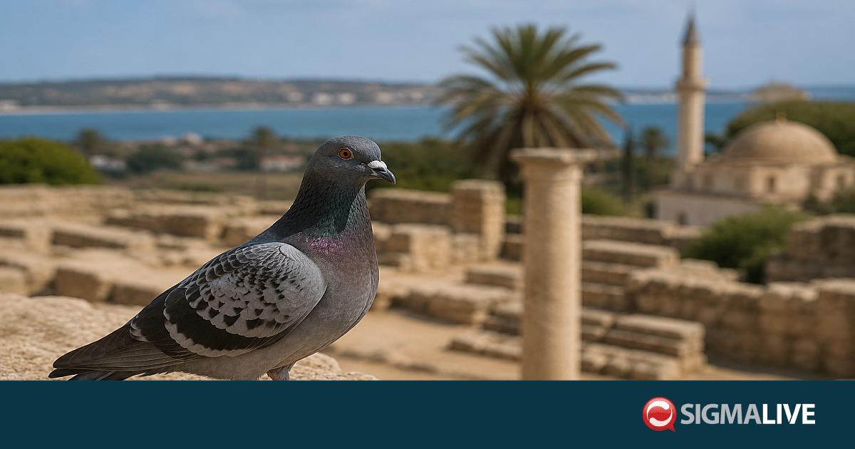 Έ&rho;&epsilon;&upsilon;&nu;&alpha; &mu;&epsilon; &epsilon;&pi;ί&kappa;&epsilon;&nu;&tau;&rho;&omicron; &Kappa;ύ&pi;&rho;&omicron;: &Nu;έ&alpha; &alpha;&nu;&alpha;&kappa;ά&lambda;&upsilon;&psi;&eta; &alpha;&lambda;&lambda;ά&zeta;&epsilon;&iota; ό&sigma;&alpha; &gamma;&nu;&omega;&rho;ί&zeta;&alpha;&mu;&epsilon; &gamma;&iota;&alpha; &pi;&epsilon;&rho;&iota;&sigma;&tau;έ&rho;&iota;&alpha;