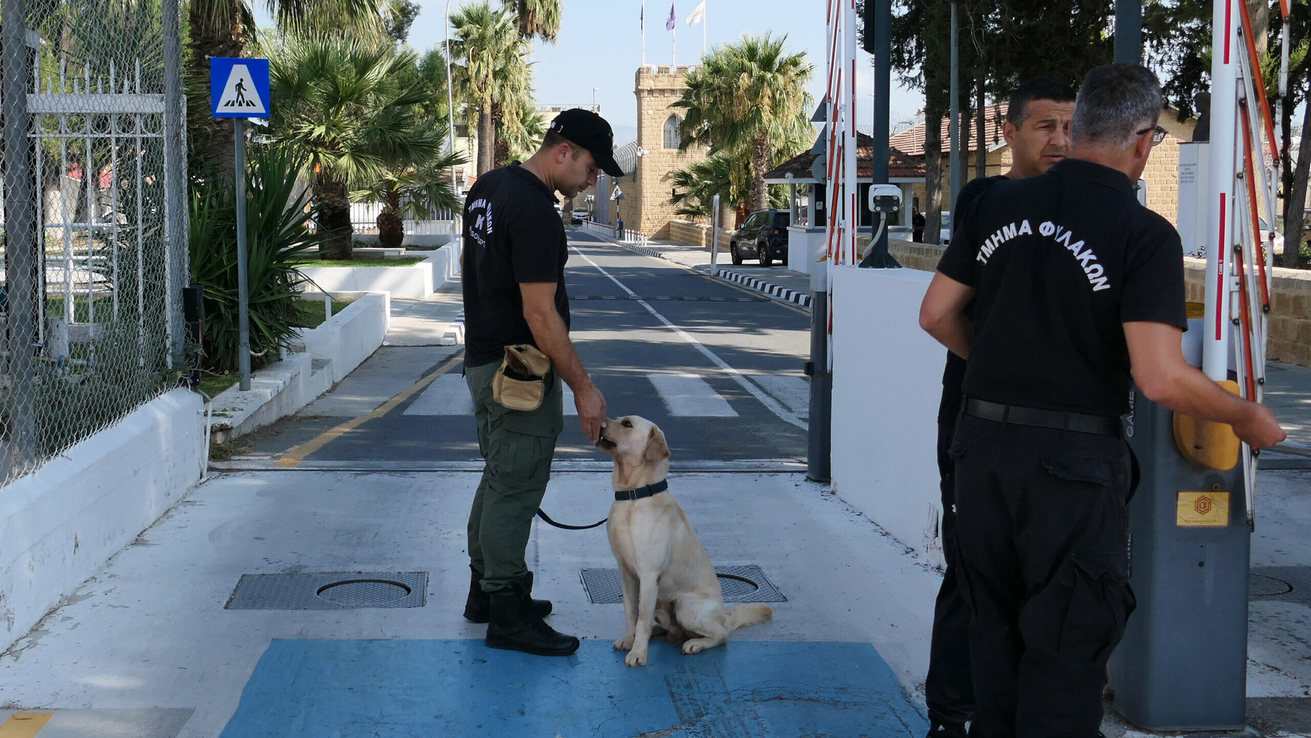 &Sigma;&tau;&eta;&nu; &Alpha;&rho;&chi;ή &kappa;&alpha;&tau;ά &Delta;&iota;&alpha;&phi;&theta;&omicron;&rho;ά&sigmaf; &omicron;&iota; &kappa;&alpha;&tau;&alpha;&gamma;&gamma;&epsilon;&lambda;ί&epsilon;&sigmaf; &tau;&eta;&sigmaf; &Iota;&sigma;ό&tau;&eta;&tau;&alpha;&sigmaf;-&Kappa;&alpha;&nu;&omicron;&nu;&iota;&kappa;ά &alpha;ύ&rho;&iota;&omicron; &eta; &alpha;&pi;&epsilon;&rho;&gamma;ί&alpha;