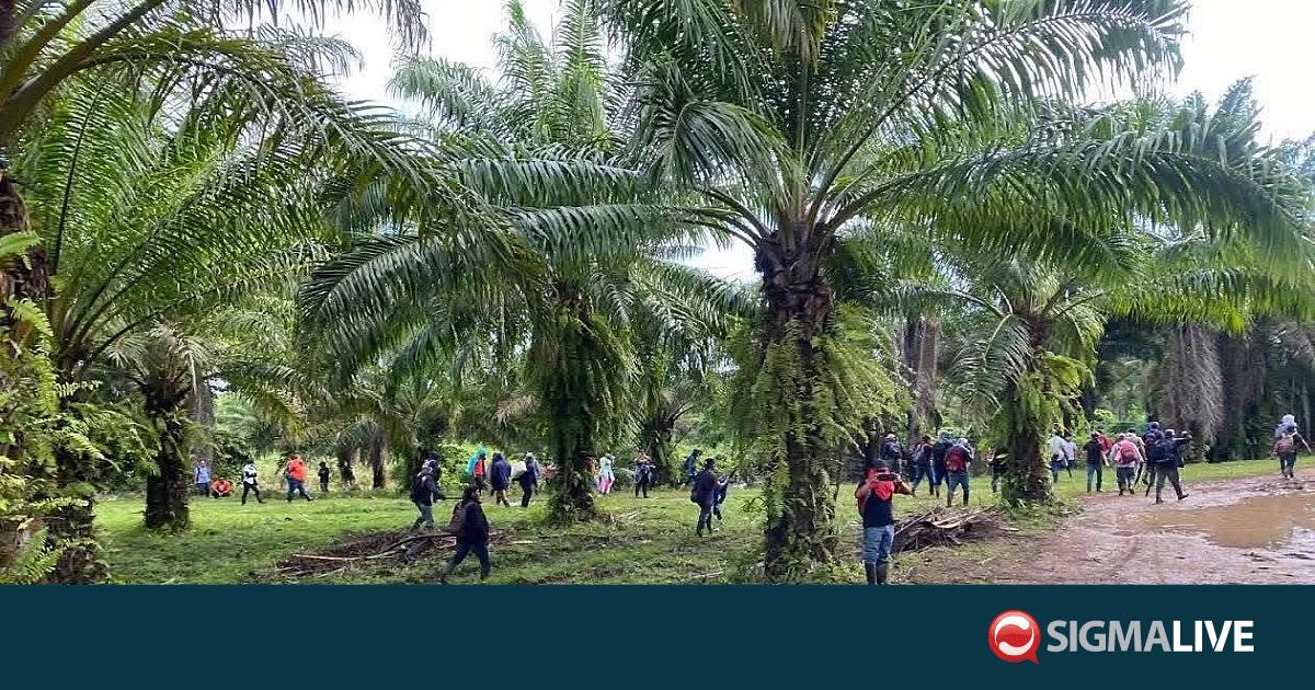 &Omicron;&nu;&delta;&omicron;ύ&rho;&alpha;: 25 &nu;&epsilon;&kappa;&rho;&omicron;ί &sigma;&epsilon; &epsilon;&pi;&iota;&theta;έ&sigma;&epsilon;&iota;&sigmaf; &alpha;&pi;&omicron;&delta;&iota;&delta;ό&mu;&epsilon;&nu;&epsilon;&sigmaf; &sigma;&epsilon; &sigma;&upsilon;&mu;&mu;&omicron;&rho;ί&epsilon;&sigmaf;