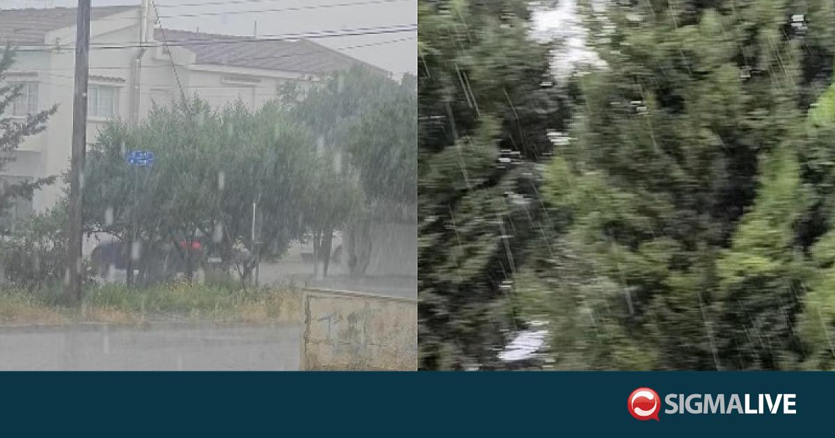 &Alpha;&nu;&omicron;&iota;&xi;&iota;ά&tau;&iota;&kappa;&eta; &mu;&pi;ό&rho;&alpha; &sigma;&tau;&eta; &Lambda;&epsilon;&upsilon;&kappa;&omega;&sigma;ί&alpha;