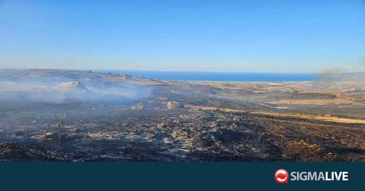 &Upsilon;&pi;ό &pi;&lambda;ή&rho;&eta; έ&lambda;&epsilon;&gamma;&chi;&omicron; &delta;&alpha;&sigma;&iota;&kappa;ή &pi;&upsilon;&rho;&kappa;&alpha;&gamma;&iota;ά &sigma;&tau;&eta; &Delta;&rho;&omicron;ύ&sigma;&epsilon;&iota;&alpha;