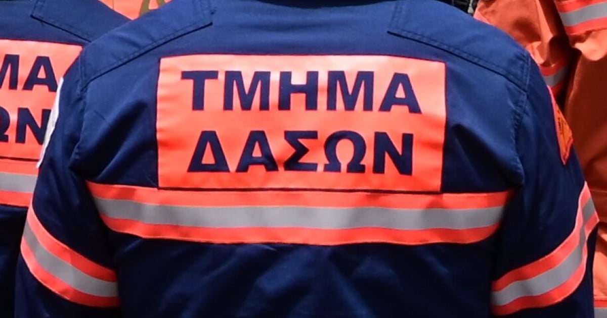 &Sigma;&epsilon; 48&omega;&rho;&eta; &alpha;&pi;&epsilon;&rho;&gamma;ί&alpha; &kappa;&alpha;&tau;έ&rho;&chi;&omicron;&nu;&tau;&alpha;&iota; &omicron;&iota; &Delta;&alpha;&sigma;&omicron;&pi;&upsilon;&rho;&omicron;&sigma;&beta;έ&sigma;&tau;&epsilon;&sigmaf;