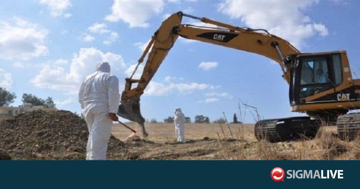 &Mu;&omicron;&upsilon;&phi;&tau;&omicron;&upsilon;&zeta;&alpha;&nu;&tau;έ: Έ&gamma;&iota;&nu;&alpha;&nu; 26 &alpha;&nu;&alpha;&sigma;&kappa;&alpha;&phi;έ&sigmaf; &kappa;&alpha;&iota; έ&chi;&omicron;&upsilon;&nu; &beta;&rho;&epsilon;&theta;&epsilon;ί &delta;ύ&omicron; &alpha;&kappa;ό&mu;&eta; &alpha;&gamma;&nu;&omicron;&omicron;ύ&mu;&epsilon;&nu;&omicron;&iota;