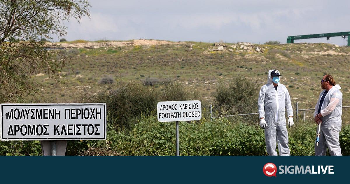 &Kappa;&tau;&eta;&nu;&iota;&alpha;&tau;&rho;&iota;&kappa;έ&sigmaf; &Upsilon;&pi;&eta;&rho;&epsilon;&sigma;ί&epsilon;&sigmaf;: &Delta;&epsilon;&nu; έ&chi;&omicron;&upsilon;&nu; &pi;&rho;&omicron;&gamma;&rho;&alpha;&mu;&mu;&alpha;&tau;&iota;&sigma;&tau;&epsilon;ί &theta;&alpha;&nu;&alpha;&tau;ώ&sigma;&epsilon;&iota;&sigmaf; &zeta;ώ&omega;&nu; &sigma;&tau;&eta;&nu; &Pi;ά&chi;&nu;&alpha;