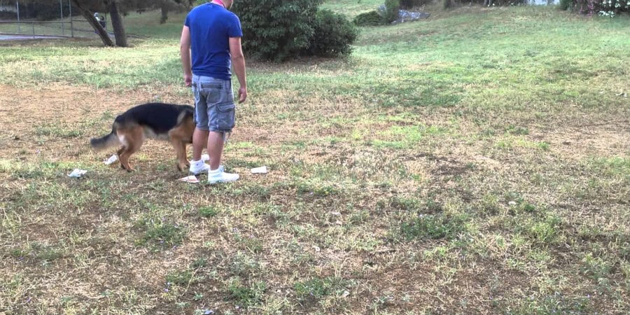 Επιχειρήσεις ΒΒ Ακρωτηρίου κατά της παράνομης εκπαίδευσης σκύλων