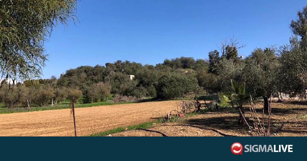 THEMIS: 180+ &Alpha;&gamma;&rho;&omicron;&tau;&epsilon;&mu;ά&chi;&iota;&alpha; &alpha;&pi;ό &euro;1.000