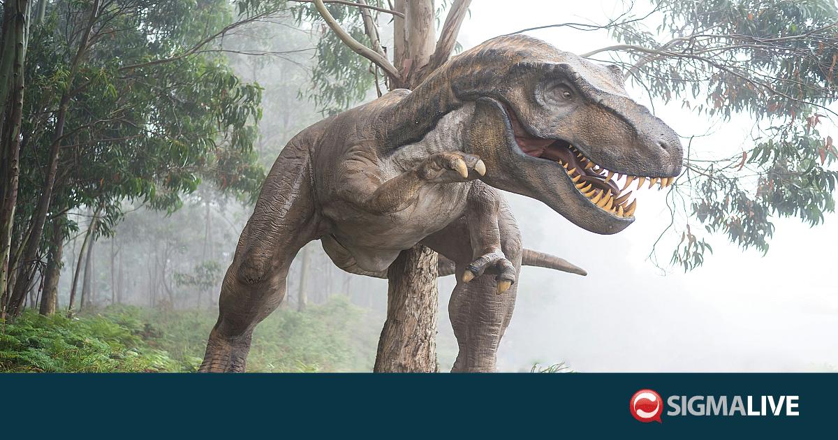 &Gamma;&iota;&alpha;&tau;ί &omicron; &Tau;&upsilon;&rho;&alpha;&nu;&nu;ό&sigma;&alpha;&upsilon;&rho;&omicron;&sigmaf; &Rho;&epsilon;&xi; &epsilon;ί&chi;&epsilon; &tau;ό&sigma;&omicron; &mu;&iota;&kappa;&rho;ά &chi;έ&rho;&iota;&alpha;; - &Tau;&iota; &alpha;&pi;&omicron;&kappa;&alpha;&lambda;ύ&pi;&tau;&epsilon;&iota; &nu;έ&alpha; &mu;&epsilon;&lambda;έ&tau;&eta;