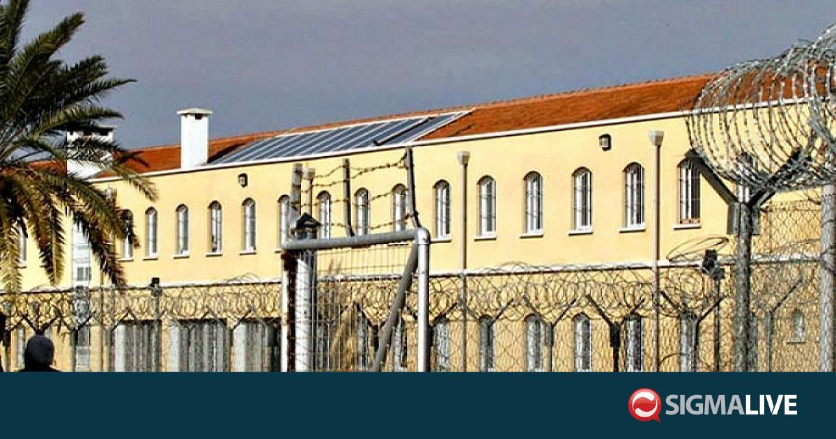 &Kappa;&alpha;&tau;&alpha;&gamma;&gamma;έ&lambda;&lambda;&omicron;&upsilon;&nu; &Sigma;&iota;&alpha;&lambda;ή, &Phi;&upsilon;&tau;&iota;&rho;ή &kappa;&alpha;&iota; &Gamma;&Delta; &omicron;&iota; &delta;&epsilon;&sigma;&mu;&omicron;&phi;ύ&lambda;&alpha;&kappa;&epsilon;&sigmaf; -&Zeta;&eta;&tau;&omicron;ύ&nu; &pi;&omicron;&iota;&nu;&iota;&kappa;ή έ&rho;&epsilon;&upsilon;&nu;&alpha;