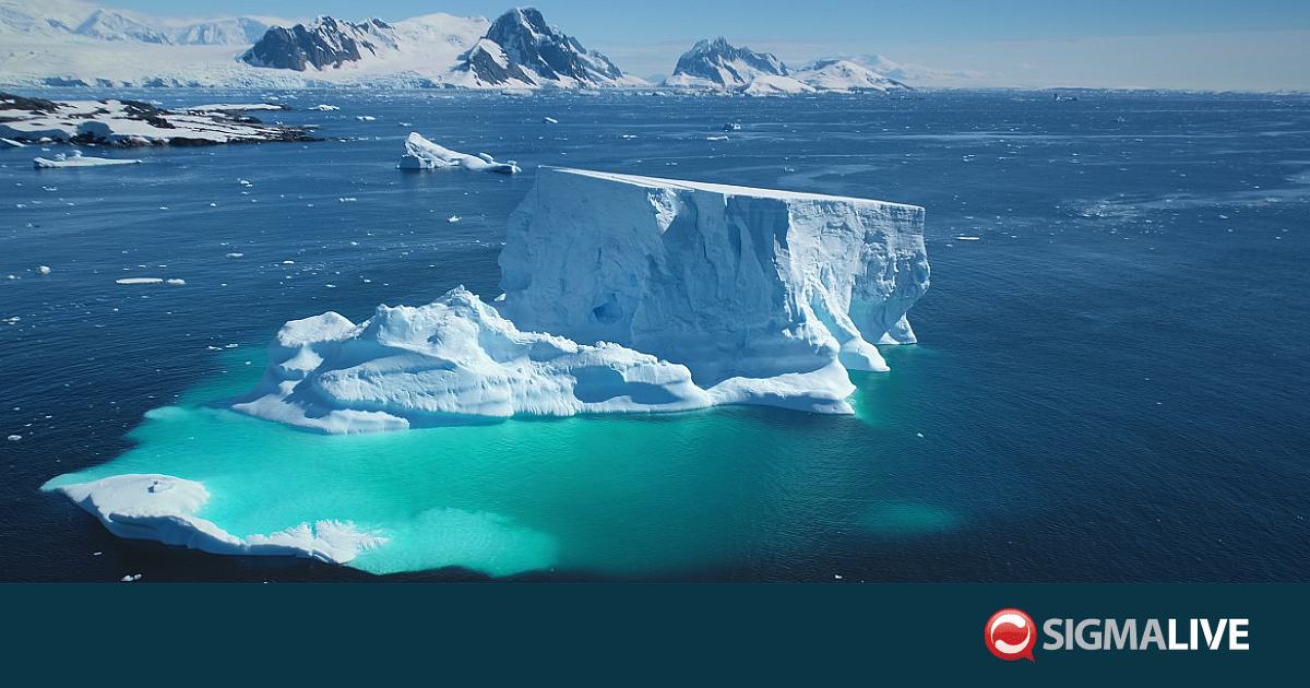&laquo;&Kappa;&alpha;&mu;&pi;&alpha;&nu;ά&kappa;&iota;&raquo; &alpha;&pi;ό &nu;έ&alpha; &delta;&iota;&epsilon;&theta;&nu;ή έ&kappa;&theta;&epsilon;&sigma;&eta;: &Lambda;&iota;ώ&nu;&omicron;&upsilon;&nu; &omicron;&iota; &pi;ά&gamma;&omicron;&iota; &sigma;&tau;&eta;&nu; &Alpha;&rho;&kappa;&tau;&iota;&kappa;ή