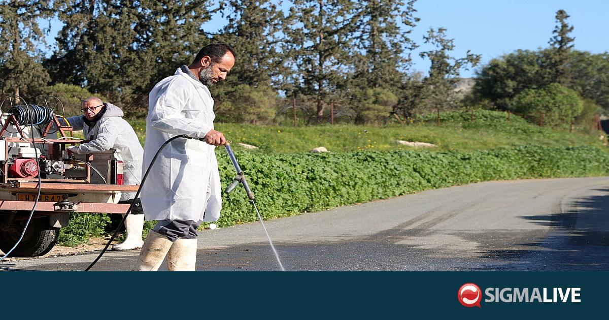 &Alpha;&pi;ά&nu;&tau;&eta;&sigma;&eta; &Kappa;&tau;&eta;&nu;&iota;&alpha;&tau;&rho;&iota;&kappa;ώ&nu; &gamma;&iota;&alpha; &alpha;&nu;&omicron;&iota;&chi;&tau;ή &tau;ά&phi;&rho;&omicron; &mu;&epsilon; &theta;&alpha;&nu;&alpha;&tau;&omega;&mu;έ&nu;&alpha; &zeta;ώ&alpha; &sigma;&tau;&eta; &Lambda;ά&rho;&nu;&alpha;&kappa;&alpha;