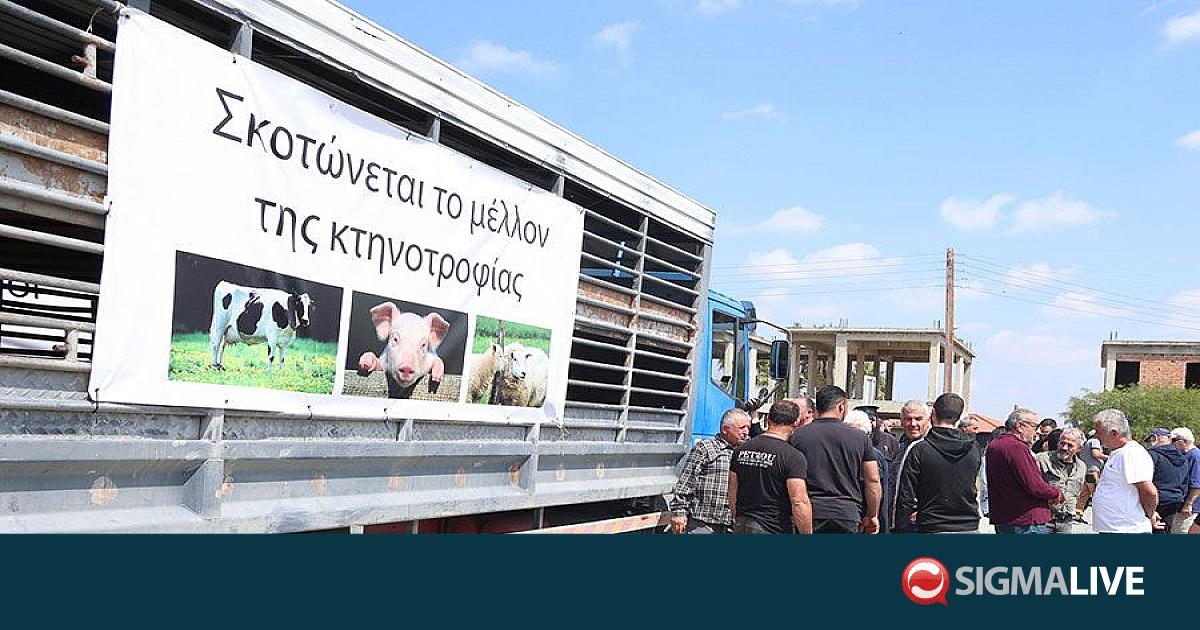 &Sigma;&tau;&omicron;&upsilon;&sigmaf; &delta;&rho;ό&mu;&omicron;&upsilon;&sigmaf; &tau;&eta;&nu; &Pi;&alpha;&rho;&alpha;&sigma;&kappa;&epsilon;&upsilon;ή &omicron;&iota; &kappa;&tau;&eta;&nu;&omicron;&tau;&rho;ό&phi;&omicron;&iota; - &Mu;έ&tau;&rho;&alpha; &alpha;&sigma;&phi;&alpha;&lambda;&epsilon;ί&alpha;&sigmaf; &alpha;&pi;ό &Alpha;&sigma;&tau;&upsilon;&nu;&omicron;&mu;ί&alpha;