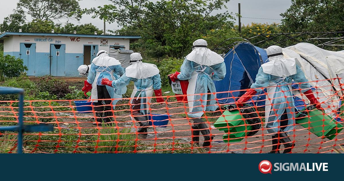 &Pi;&Omicron;&Upsilon; &gamma;&iota;&alpha; Έ&mu;&pi;&omicron;&lambda;&alpha;: 906 ύ&pi;&omicron;&pi;&tau;&alpha; &kappa;&rho;&omicron;ύ&sigma;&mu;&alpha;&tau;&alpha; &kappa;&alpha;&iota; 223 ύ&pi;&omicron;&pi;&tau;&omicron;&iota; &theta;ά&nu;&alpha;&tau;&omicron;&iota; &sigma;&tau;&omicron; &Kappa;&omicron;&nu;&gamma;&kappa;ό