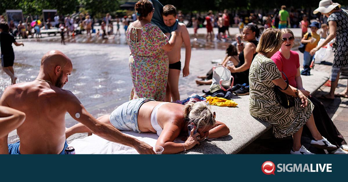 &Omicron; &theta;&epsilon;&rho;&mu;&iota;&kappa;ό&sigmaf; &theta;ό&lambda;&omicron;&sigmaf; &pi;&rho;&omicron;&kappa;ά&lambda;&epsilon;&sigma;&epsilon; &phi;&omicron;&nu;&iota;&kappa;ό &kappa;&alpha;ύ&sigma;&omega;&nu;&alpha;-&Rho;&epsilon;&kappa;ό&rho; &theta;&epsilon;&rho;&mu;&omicron;&kappa;&rho;&alpha;&sigma;&iota;ώ&nu;