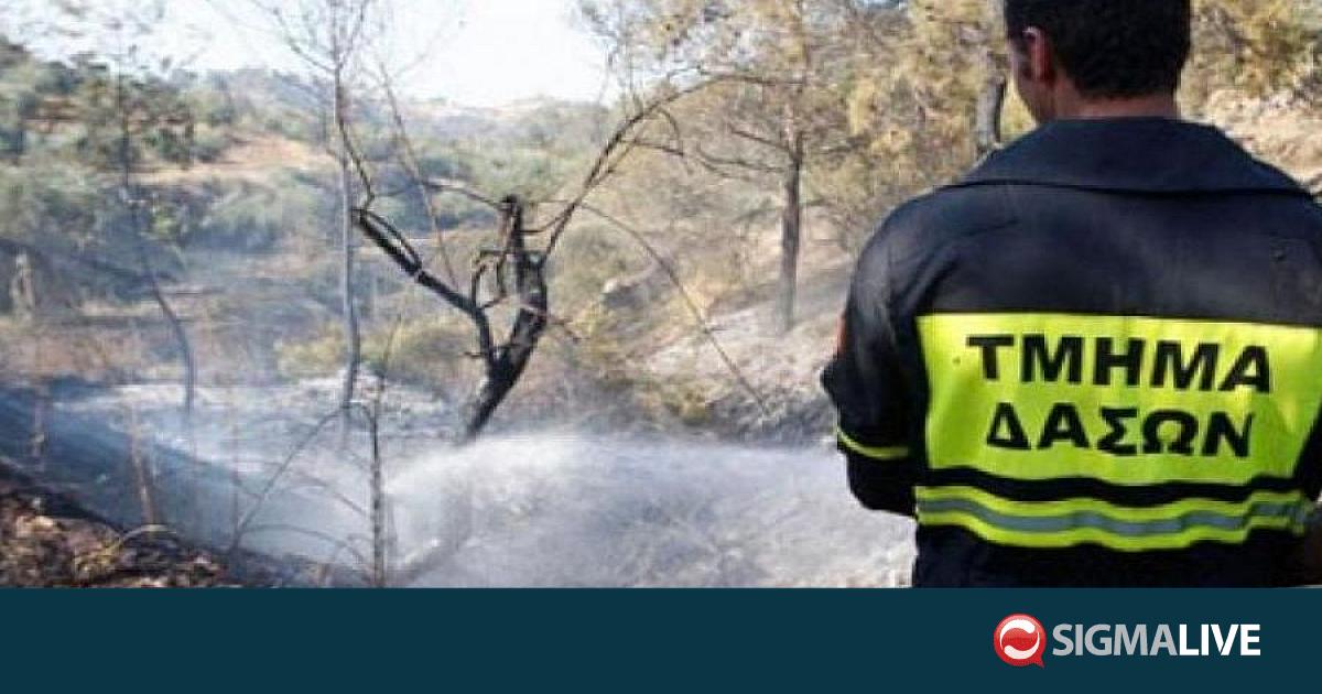 &Phi;&omega;&tau;&iota;ά &xi;έ&sigma;&pi;&alpha;&sigma;&epsilon; &sigma;&tau;&alpha; &Pi;έ&rho;&alpha; &Omicron;&rho;&epsilon;&iota;&nu;ή&sigmaf; &ndash; Ά&mu;&epsilon;&sigma;&eta; &eta; &epsilon;&pi;έ&mu;&beta;&alpha;&sigma;&eta; &tau;&omicron;&upsilon; &Tau;&mu;ή&mu;&alpha;&tau;&omicron;&sigmaf; &Delta;&alpha;&sigma;ώ&nu;