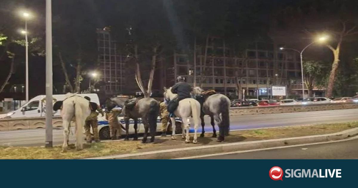 &Iota;&tau;&alpha;&lambda;ί&alpha;: Ά&lambda;&omicron;&gamma;&alpha; &tau;&rho;ό&mu;&alpha;&xi;&alpha;&nu; &alpha;&pi;ό &pi;&upsilon;&rho;&omicron;&tau;&epsilon;&chi;&nu;ή&mu;&alpha;&tau;&alpha; &kappa;&alpha;&iota; &sigma;&kappa;ό&rho;&pi;&iota;&sigma;&alpha;&nu; &tau;&omicron; &chi;ά&omicron;&sigmaf;-5 &tau;&rho;&alpha;&upsilon;&mu;&alpha;&tau;ί&epsilon;&sigmaf;