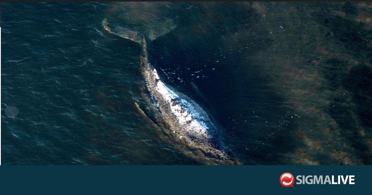 &Gamma;&alpha;&lambda;&lambda;ί&alpha;: &Phi;ά&lambda;&alpha;&iota;&nu;&alpha; &epsilon;&xi;ό&kappa;&epsilon;&iota;&lambda;&epsilon; &sigma;&epsilon; &pi;&alpha;&rho;&alpha;&lambda;ί&alpha; &tau;&omicron;&upsilon; &Iota;&lambda; &nu;&tau;&epsilon; &Rho;&epsilon; (&Beta;&Iota;&Nu;&Tau;&Epsilon;&Omicron;)