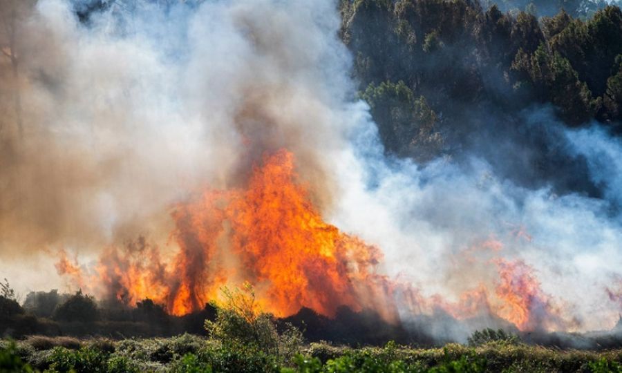 &Epsilon;&Epsilon;&Kappa;: &Chi;&rho;&epsilon;&iota;ά&zeta;&epsilon;&tau;&alpha;&iota; &eta; &sigma;&upsilon;&nu;&epsilon;&rho;&gamma;&alpha;&sigma;ί&alpha; ό&lambda;&omega;&nu; &gamma;&iota;&alpha; &alpha;&nu;&tau;&iota;&mu;&epsilon;&tau;ώ&pi;&iota;&sigma;&eta; &tau;&omega;&nu; &pi;&upsilon;&rho;&kappa;&alpha;&gamma;&iota;ώ&nu;
