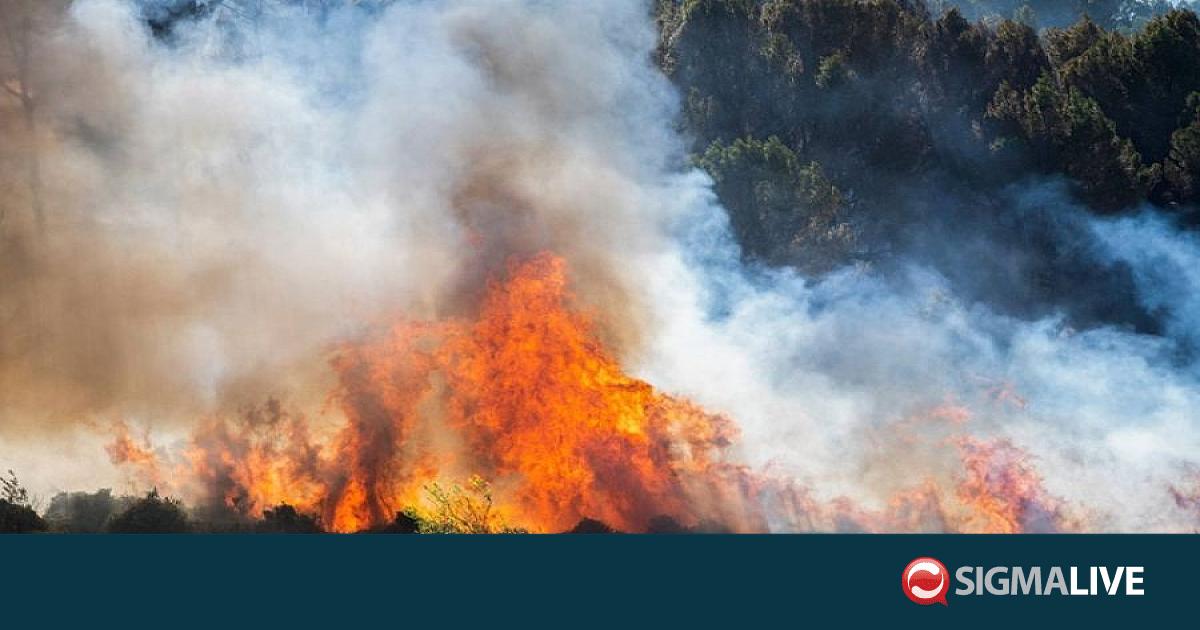 &Epsilon;&Epsilon;&Kappa;: &Chi;&rho;&epsilon;&iota;ά&zeta;&epsilon;&tau;&alpha;&iota; &eta; &sigma;&upsilon;&nu;&epsilon;&rho;&gamma;&alpha;&sigma;ί&alpha; ό&lambda;&omega;&nu; &gamma;&iota;&alpha; &alpha;&nu;&tau;&iota;&mu;&epsilon;&tau;ώ&pi;&iota;&sigma;&eta; &tau;&omega;&nu; &pi;&upsilon;&rho;&kappa;&alpha;&gamma;&iota;ώ&nu;