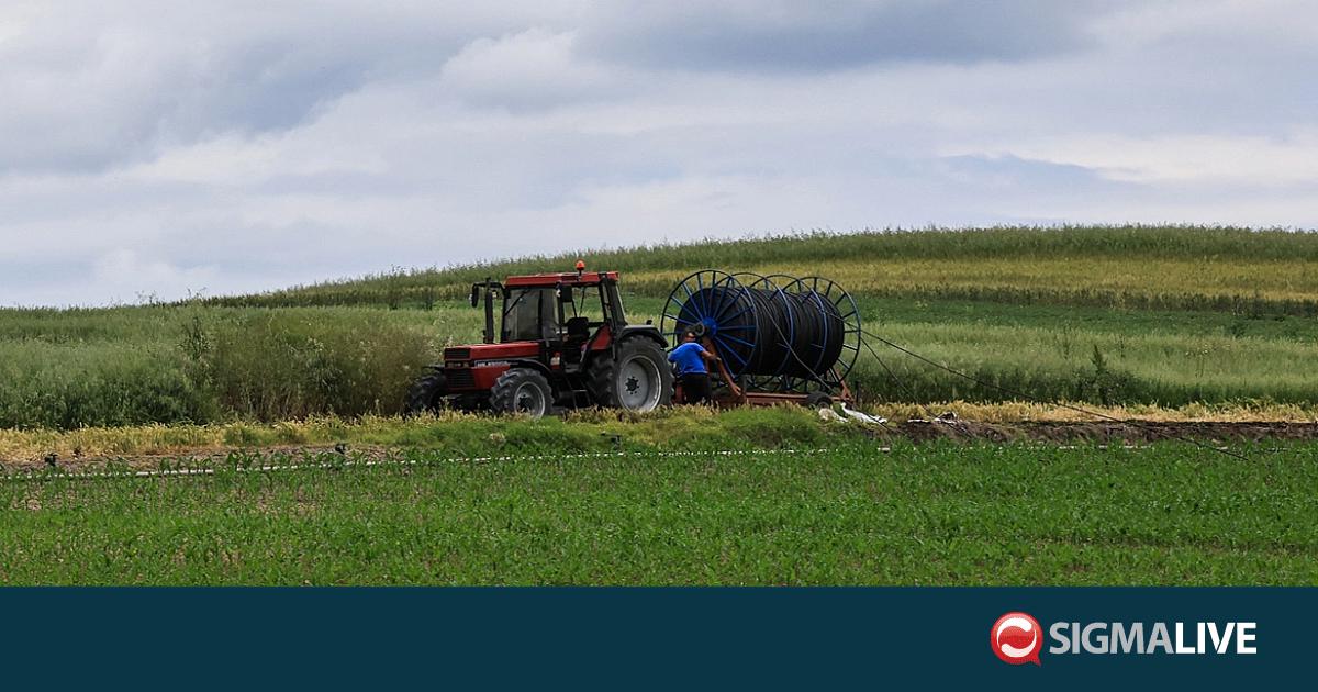&Omicron;&Pi;&Epsilon;&Kappa;&Epsilon;&Pi;&Epsilon;: &Epsilon;&nu;ώ&pi;&iota;&omicron;&nu; &alpha;&nu;&alpha;&kappa;&rho;&iota;&tau;ή &omicron;&iota; 17 &sigma;&upsilon;&lambda;&lambda;&eta;&phi;&theta;έ&nu;&tau;&epsilon;&sigmaf; - &Epsilon;&lambda;&epsilon;ύ&theta;&epsilon;&rho;&omicron;&iota; &upsilon;&pi;ό ό&rho;&omicron;&upsilon;&sigmaf; 7 &pi;&rho;ό&sigma;&omega;&pi;&alpha;