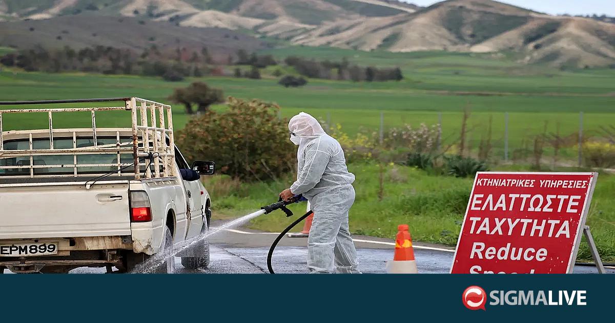 &Alpha;&gamma;&rho;&omicron;&tau;&iota;&kappa;έ&sigmaf; &omicron;&rho;&gamma;&alpha;&nu;ώ&sigma;&epsilon;&iota;&sigmaf;: &Zeta;&eta;&tau;&omicron;ύ&nu; &kappa;&alpha;&tau;&alpha;&lambda;&upsilon;&tau;&iota;&kappa;ή &pi;&alpha;&rho;έ&mu;&beta;&alpha;&sigma;&eta; &Pi;&tau;&Delta; &gamma;&iota;&alpha; &alpha;&phi;&theta;ώ&delta;&eta; &pi;&upsilon;&rho;&epsilon;&tau;ό
