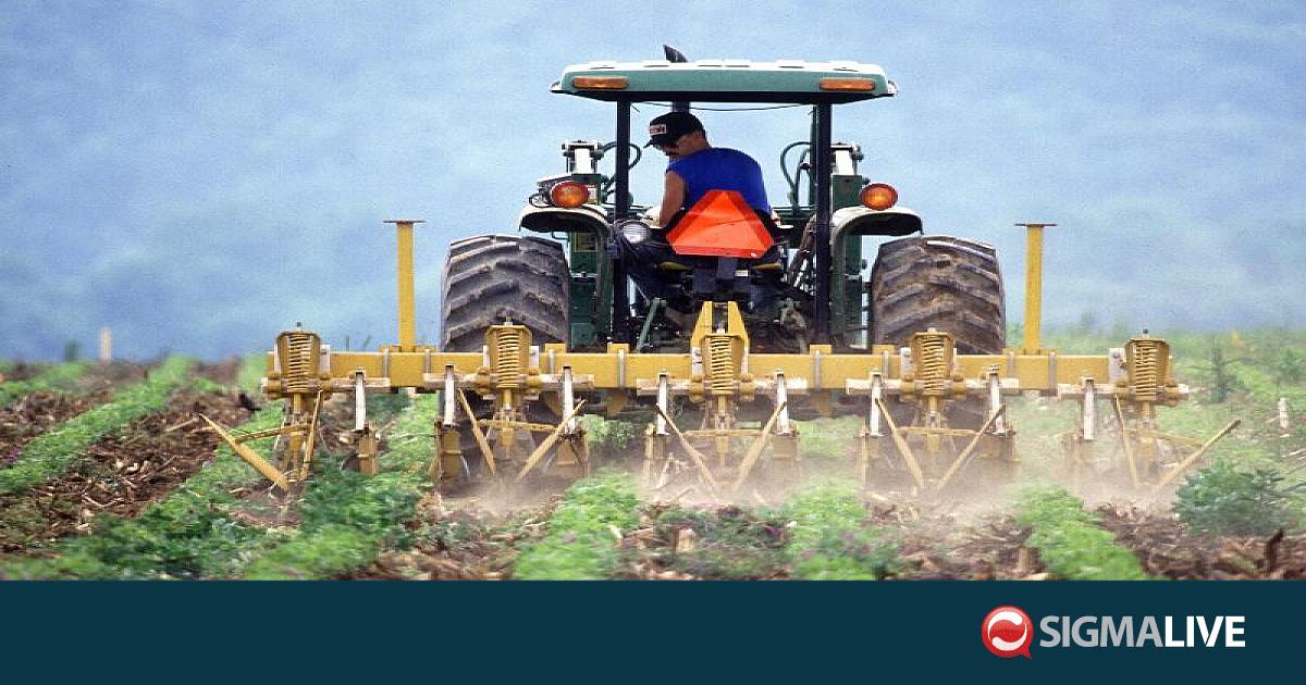 &Sigma;&tau;&omicron; &pi;ό&delta;&iota; &omicron;&iota; &alpha;&gamma;&rho;ό&tau;&epsilon;&sigmaf; &tau;&eta;&sigmaf; &Pi;ά&phi;&omicron;&upsilon; &gamma;&iota;&alpha; &tau;&omicron; &upsilon;&delta;&alpha;&tau;&iota;&kappa;ό &ndash; &Omicron;&iota; &delta;&rho;ό&mu;&omicron;&iota; &pi;&omicron;&upsilon; &theta;&alpha; &epsilon;&pi;&eta;&rho;&epsilon;&alpha;&sigma;&tau;&omicron;ύ&nu;