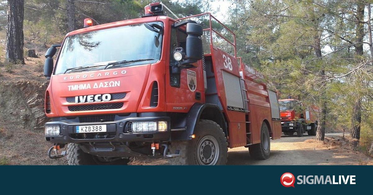 &Delta;&alpha;&sigma;&iota;&kappa;ή &pi;&upsilon;&rho;&kappa;&alpha;&gamma;&iota;ά &sigma;&tau;&eta; &Psi;&eta;&mu;&omicron;&lambda;ό&phi;&omicron;&upsilon;