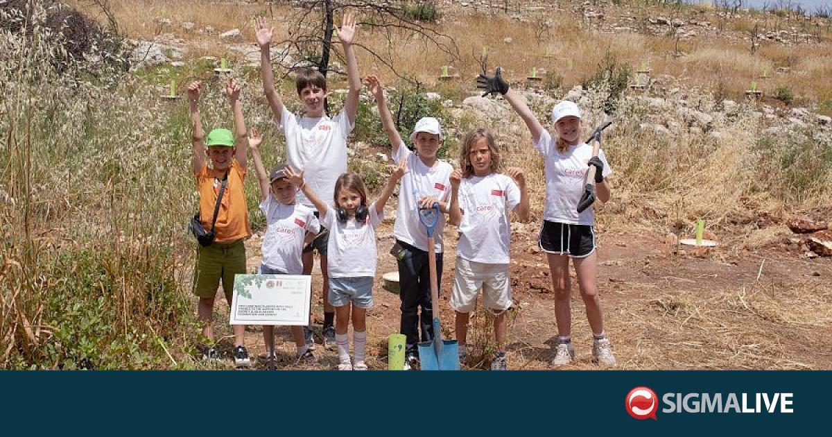 &Eta; Exinity &kappa;&alpha;&iota; &tau;&omicron; Andrey Julia Dashin&rsquo;s Foundation &epsilon;&nu;ώ&nu;&omicron;&upsilon;&nu; &delta;&upsilon;&nu;ά&mu;&epsilon;&iota;&sigmaf;