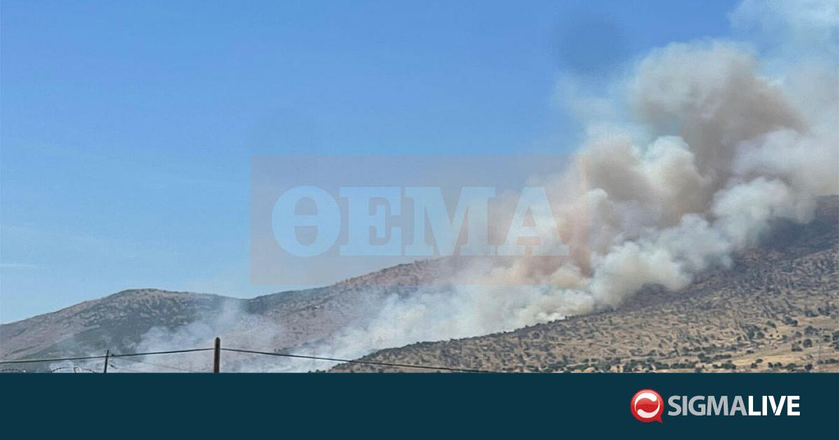 &Phi;&omega;&tau;&iota;ά &sigma;&tau;&omicron;&nu; &Alpha;&sigma;&pi;&rho;ό&pi;&upsilon;&rho;&gamma;&omicron;