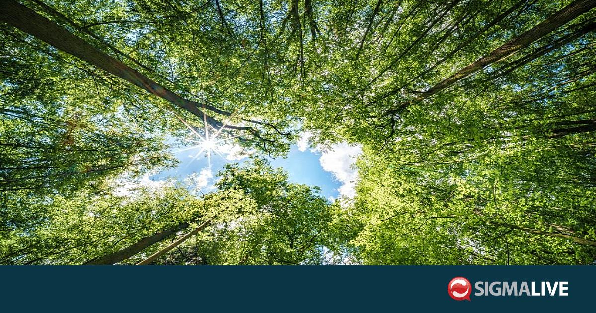 &Eta; &Kappa;ύ&pi;&rho;&omicron;&sigmaf; &pi;&rho;&omicron;&sigma;&upsilon;&pi;έ&gamma;&rho;&alpha;&psi;&epsilon; &tau;&eta;&nu; &Upsilon;&pi;&omicron;&upsilon;&rho;&gamma;&iota;&kappa;ή &Delta;&iota;&alpha;&kappa;ή&rho;&upsilon;&xi;&eta; &tau;&eta;&sigmaf; &Sigma;&tau;&omicron;&kappa;&chi;ό&lambda;&mu;&eta;&sigmaf; &gamma;&iota;&alpha; &tau;&alpha; &Delta;ά&sigma;&eta;