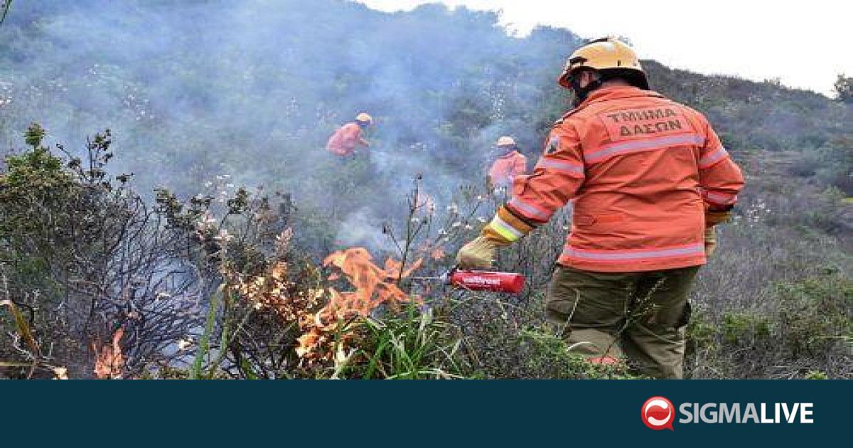 &Upsilon;&pi;ό έ&lambda;&epsilon;&gamma;&chi;&omicron; &eta; &phi;&omega;&tau;&iota;ά &sigma;&tau;&omicron; &Pi;&epsilon;&nu;&tau;ά&kappa;&omega;&mu;&omicron;