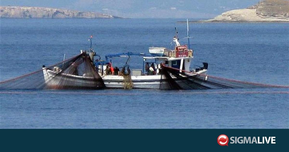 &Epsilon;&pi;ί&theta;&epsilon;&sigma;&eta; &sigma;&epsilon; &tau;&omicron;&upsilon;&rho;&kappa;&iota;&kappa;ό &alpha;&lambda;&iota;&epsilon;&upsilon;&tau;&iota;&kappa;ό &alpha;&nu;&omicron;&iota;&chi;&tau;ά &tau;&eta;&sigmaf; &Kappa;&rho;&iota;&mu;&alpha;ί&alpha;&sigmaf;