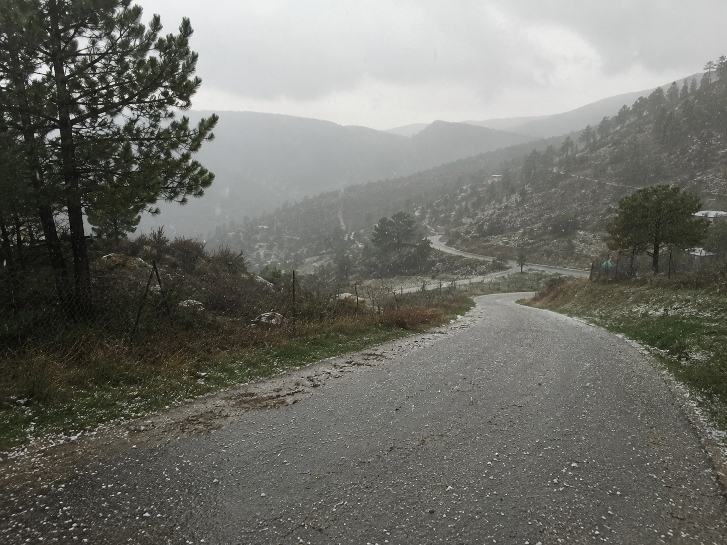 &Beta;&Iota;&Nu;&Tau;&Epsilon;&Omicron;: &Beta;&rho;&omicron;&chi;έ&sigmaf; &mu;&epsilon; &kappa;&alpha;&lambda;&omicron;&kappa;&alpha;&iota;&rho;&iota;ά&tau;&iota;&kappa;&eta; &chi;&alpha;&lambda;&alpha;&zeta;ό&pi;&tau;&omega;&sigma;&eta; &sigma;&tau;&alpha; &omicron;&rho;&epsilon;&iota;&nu;ά
