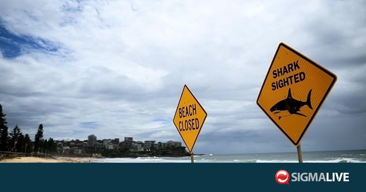 &Nu;&epsilon;&kappa;&rho;ό&sigmaf; &delta;ύ&tau;&eta;&sigmaf; &alpha;&pi;ό &epsilon;&pi;ί&theta;&epsilon;&sigma;&eta; &kappa;&alpha;&rho;&chi;&alpha;&rho;ί&alpha; &sigma;&tau;&eta; &Delta;&upsilon;&tau;&iota;&kappa;ή &Alpha;&upsilon;&sigma;&tau;&rho;&alpha;&lambda;ί&alpha;
