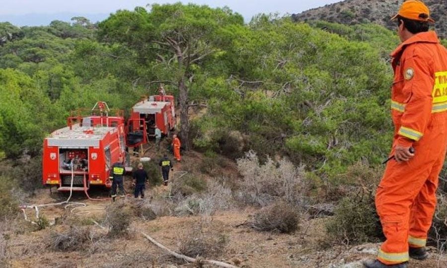 Υπό πλήρη έλεγχο δασική πυρκαγιά στην Αγροκηπιά