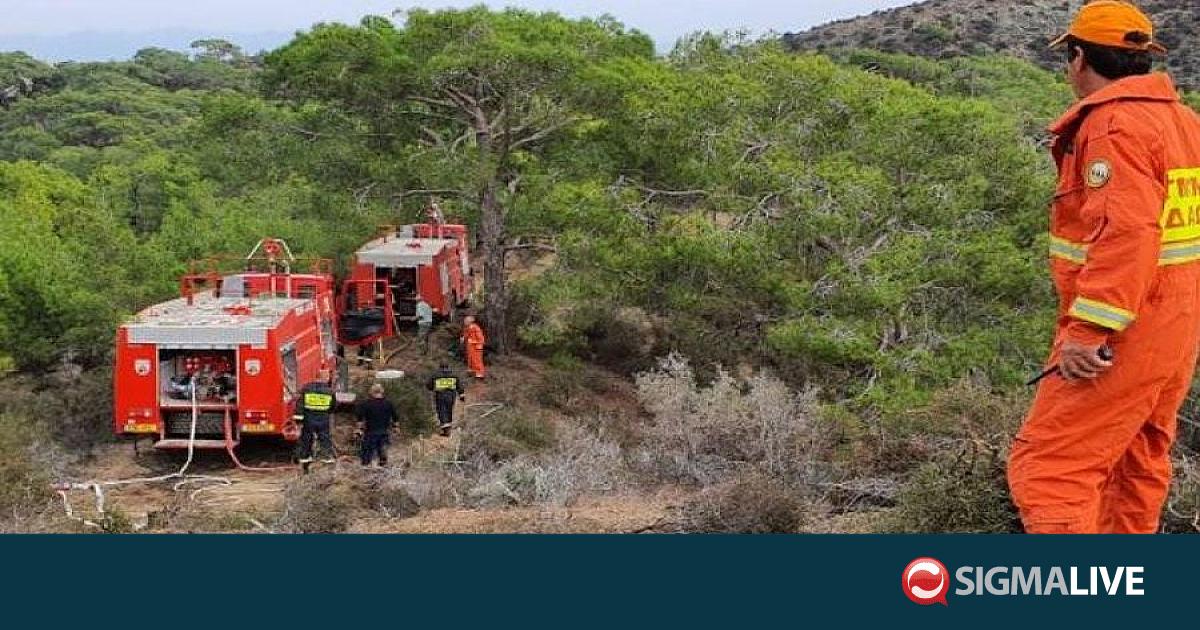 &Upsilon;&pi;ό &pi;&lambda;ή&rho;&eta; έ&lambda;&epsilon;&gamma;&chi;&omicron; &delta;&alpha;&sigma;&iota;&kappa;ή &pi;&upsilon;&rho;&kappa;&alpha;&gamma;&iota;ά &sigma;&tau;&eta;&nu; &Alpha;&gamma;&rho;&omicron;&kappa;&eta;&pi;&iota;ά