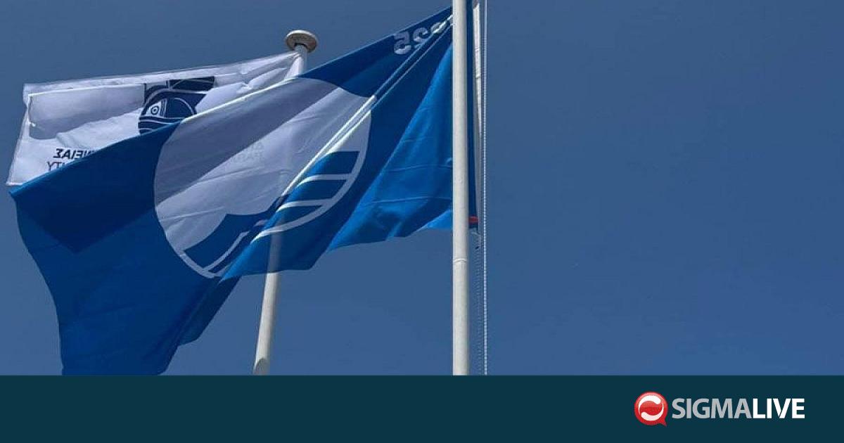 &Delta;&iota;ά&kappa;&rho;&iota;&sigma;&eta; &gamma;&iota;&alpha; &tau;&omicron;&nu; &Delta;ή&mu;&omicron; &Pi;&alpha;&rho;&alpha;&lambda;&iota;&mu;&nu;ί&omicron;&upsilon;: &Pi;&rho;ώ&tau;&omicron;&sigmaf; &Pi;&alpha;&gamma;&kappa;ύ&pi;&rho;&iota;&alpha; &sigma;&epsilon; &Gamma;&alpha;&lambda;ά&zeta;&iota;&epsilon;&sigmaf; &Sigma;&eta;&mu;&alpha;ί&epsilon;&sigmaf;