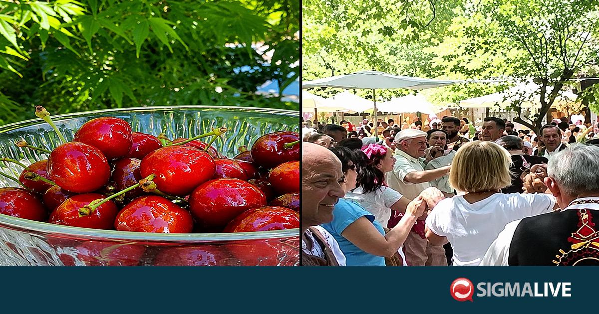 &laquo;&Rho;&omicron;&upsilon;&mu;&pi;ί&nu;&iota; &tau;&omicron;&upsilon; &Kappa;ά&mu;&pi;&omicron;&upsilon;&raquo;: &Gamma;έ&mu;&iota;&sigma;&epsilon; &zeta;&omega;ή &tau;&omicron; &chi;&omega;&rho;ί&omicron; &alpha;&pi;ό &tau;&omicron; &phi;&epsilon;&sigma;&tau;&iota;&beta;ά&lambda; &kappa;&epsilon;&rho;&alpha;&sigma;&iota;&omicron;ύ (&Beta;&Iota;&Nu;&Tau;&Epsilon;&Omicron;)