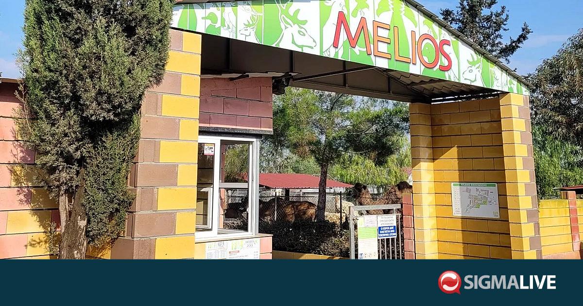 Melios Zoo: &Kappa;&alpha;&tau;&alpha;&gamma;&gamma;έ&lambda;&lambda;&epsilon;&iota; &pi;&alpha;&rho;ά&nu;&omicron;&mu;&eta; &sigma;&upsilon;&mu;&pi;&epsilon;&rho;&iota;&phi;&omicron;&rho;ά &kappa;&rho;&alpha;&tau;&iota;&kappa;ώ&nu; &lambda;&epsilon;&iota;&tau;&omicron;&upsilon;&rho;&gamma;ώ&nu; &sigma;&tau;&omicron;&nu; &Pi;&tau;&Delta;