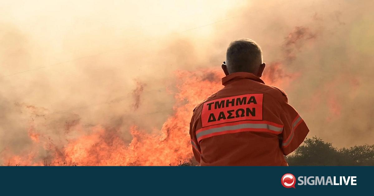 &Sigma;&upsilon;&nu;&alpha;&gamma;&epsilon;&rho;&mu;ό&sigmaf; &sigma;&tau;&eta;&nu; &Pi;ά&phi;&omicron;: &Xi;έ&sigma;&pi;&alpha;&sigma;&epsilon; &pi;&upsilon;&rho;&kappa;&alpha;&gamma;&iota;ά &sigma;&tau;&eta;&nu; &pi;&epsilon;&rho;&iota;&omicron;&chi;ή &Nu;έ&omicron;&upsilon; &Chi;&omega;&rho;&iota;&omicron;ύ
