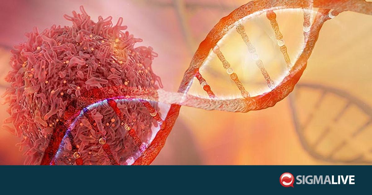 &Mu;&epsilon;&gamma;&alpha;&lambda;ύ&tau;&epsilon;&rho;&epsilon;&sigmaf; &omicron;&iota; &pi;&iota;&theta;&alpha;&nu;ό&tau;&eta;&tau;&epsilon;&sigmaf; &gamma;&iota;&alpha; &epsilon;&pi;&iota;&beta;ί&omega;&sigma;&eta; &alpha;&pi;ό &kappa;&alpha;&rho;&kappa;ί&nu;&omicron; &sigma;&tau;&eta;&nu; &Kappa;ύ&pi;&rho;&omicron; &sigma;&epsilon; &sigma;&chi;έ&sigma;&eta; &mu;&epsilon; &Epsilon;&Epsilon;