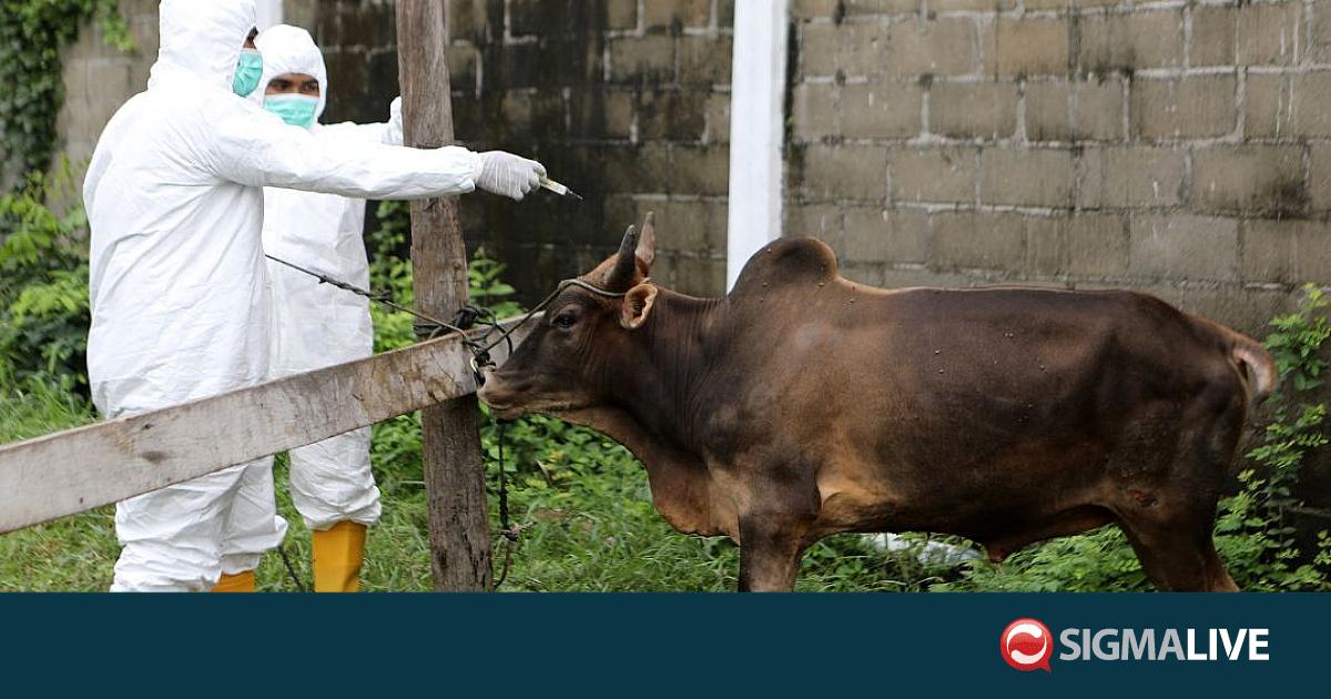 &Sigma;&upsilon;&nu;&epsilon;&chi;ί&zeta;&epsilon;&tau;&alpha;&iota; &eta; &delta;&epsilon;&iota;&gamma;&mu;&alpha;&tau;&omicron;&lambda;&eta;&psi;ί&alpha; &gamma;&iota;&alpha; &alpha;&phi;&theta;ώ&delta;&eta; &kappa;&alpha;&iota; &xi;&alpha;&nu;&alpha;&rho;&chi;ί&zeta;&omicron;&upsilon;&nu; &omicron;&iota; &epsilon;&mu;&beta;&omicron;&lambda;&iota;&alpha;&sigma;&mu;&omicron;ί