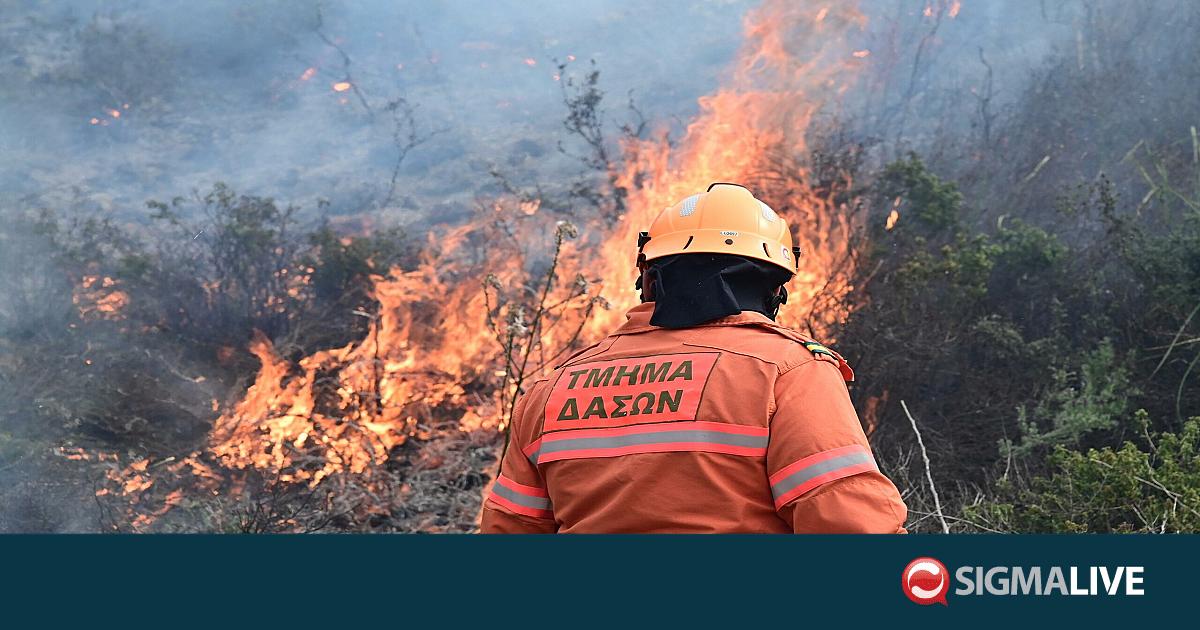&Upsilon;&pi;ό &pi;&lambda;ή&rho;&eta; έ&lambda;&epsilon;&gamma;&chi;&omicron; &pi;&upsilon;&rho;&kappa;&alpha;&gamma;&iota;ά &sigma;&tau;&eta;&nu; &kappa;&omicron;&iota;&nu;ό&tau;&eta;&tau;&alpha; &Pi;έ&rho;&alpha; &Omicron;&rho;&epsilon;&iota;&nu;ή&sigmaf; &sigma;&tau;&eta;&nu; &Lambda;&epsilon;&upsilon;&kappa;&omega;&sigma;ί&alpha;