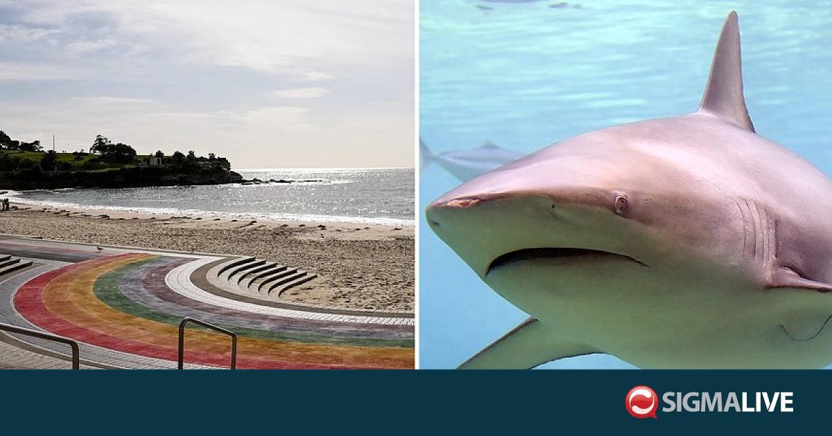&Sigma;ί&delta;&nu;&epsilon;ϊ: &Gamma;&upsilon;&nu;&alpha;ί&kappa;&alpha; &sigma;&epsilon; &kappa;&rho;ί&sigma;&iota;&mu;&eta; &kappa;&alpha;&tau;ά&sigma;&tau;&alpha;&sigma;&eta; &mu;&epsilon;&tau;ά &alpha;&pi;ό &epsilon;&pi;ί&theta;&epsilon;&sigma;&eta; &kappa;&alpha;&rho;&chi;&alpha;&rho;ί&alpha; (&Beta;&Iota;&Nu;&Tau;&Epsilon;&Omicron;)