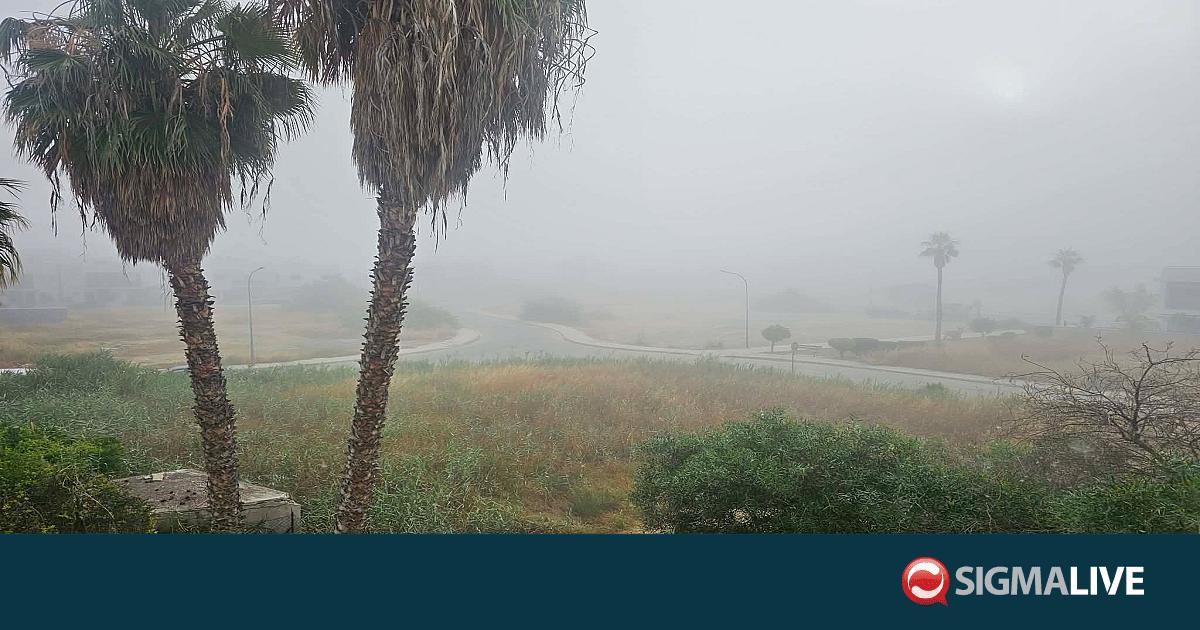 &Pi;&upsilon;&kappa;&nu;ή &omicron;&mu;ί&chi;&lambda;&eta; &laquo;&sigma;&kappa;έ&pi;&alpha;&sigma;&epsilon;&raquo; &tau;&eta; &Lambda;&epsilon;&upsilon;&kappa;&omega;&sigma;ί&alpha; &tau;&omicron; &pi;&rho;&omega;ί &tau;&omicron;&upsilon; &Sigma;&alpha;&beta;&beta;ά&tau;&omicron;&upsilon;-&Delta;&epsilon;ί&tau;&epsilon; &epsilon;&iota;&kappa;ό&nu;&epsilon;&sigmaf;