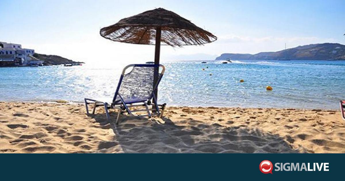 &Mu;&alpha;&kappa;&rho;&iota;ά &alpha;&kappa;ό&mu;&eta; &tau;&alpha; &pi;&rho;ώ&tau;&alpha; &laquo;&kappa;&alpha;&mu;ί&nu;&iota;&alpha;&raquo;- &Eta; &pi;&rho;ό&gamma;&nu;&omega;&sigma;&eta; &gamma;&iota;&alpha; &tau;&eta;&nu; &epsilon;&rho;&chi;ό&mu;&epsilon;&nu;&eta; &epsilon;&beta;&delta;&omicron;&mu;ά&delta;&alpha;