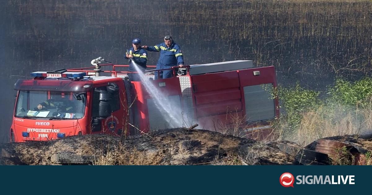 &Pi;&upsilon;&rho;&kappa;&alpha;&gamma;&iota;ά &sigma;&tau;&eta; &nu;&epsilon;&kappa;&rho;ή &zeta;ώ&nu;&eta; &sigma;ή&mu;&alpha;&nu;&epsilon; &sigma;&upsilon;&nu;&alpha;&gamma;&epsilon;&rho;&mu;ό &gamma;&iota;&alpha; &Pi;&upsilon;&rho;&omicron;&sigma;&beta;&epsilon;&sigma;&tau;&iota;&kappa;ή&sigmaf; &kappa;&alpha;&iota; &Omicron;&Eta;&Epsilon;