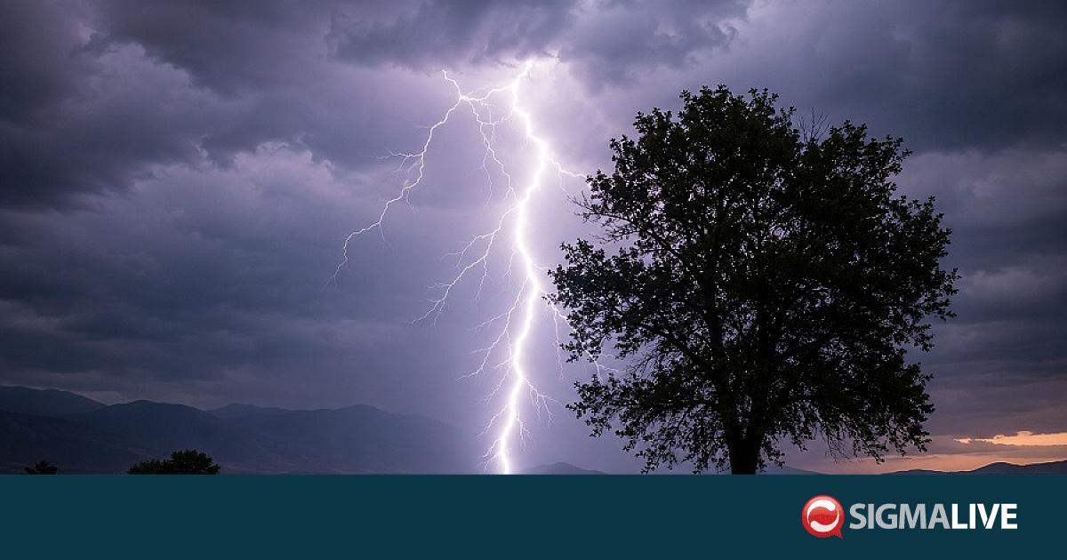 &Kappa;ί&tau;&rho;&iota;&nu;&eta; &pi;&rho;&omicron;&epsilon;&iota;&delta;&omicron;&pi;&omicron;ί&eta;&sigma;&eta; &gamma;&iota;&alpha; &kappa;&alpha;&tau;&alpha;&iota;&gamma;ί&delta;&epsilon;&sigmaf; &kappa;&alpha;&iota; &chi;&alpha;&lambda;ά&zeta;&iota;-&Pi;&omicron;&iota;&epsilon;&sigmaf; &pi;&epsilon;&rho;&iota;&omicron;&chi;έ&sigmaf; &theta;&alpha; &epsilon;&pi;&eta;&rho;&epsilon;&alpha;&sigma;&tau;&omicron;ύ&nu;