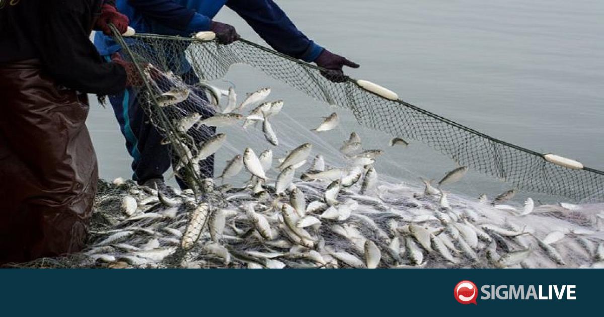 &Eta; &Kappa;&omicron;&mu;&iota;&sigma;&iota;ό&nu; &epsilon;&nu;έ&kappa;&rho;&iota;&nu;&epsilon; &kappa;&rho;&alpha;&tau;&iota;&kappa;ή &epsilon;&nu;ί&sigma;&chi;&upsilon;&sigma;&eta; &gamma;&iota;&alpha; &kappa;&rho;&omicron;&alpha;&tau;&iota;&kappa;ή &alpha;&lambda;&iota;&epsilon;ί&alpha;