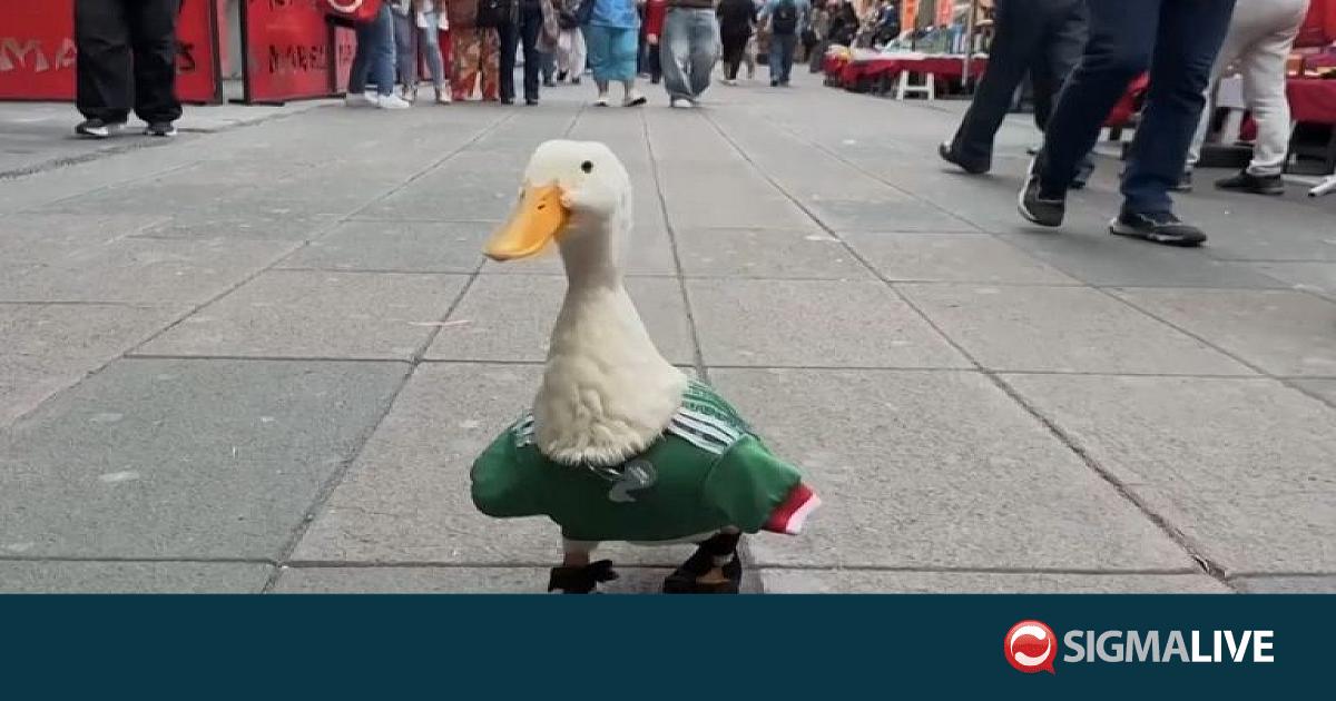&Mu;έ&rho;&lambda;&iota;&nu;, &eta; &pi;ά&pi;&iota;&alpha;: &Eta; &pi;&iota;&omicron; &alpha;&pi;&rho;ό&sigma;&mu;&epsilon;&nu;&eta; &mu;&alpha;&sigma;&kappa;ό&tau; &tau;&omicron;&upsilon; &Mu;&omicron;&upsilon;&nu;&tau;&iota;ά&lambda; 2026 (BINTEO)